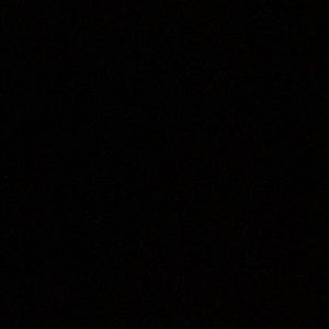 Meet your Posher, Shelly